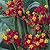Butterfly Weed Seeds
