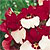 Nemesia Seeds