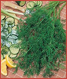 Superdukat Dill