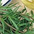 Savory Seeds
