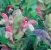 Skullcap Seeds
