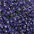 Rock Cress Seeds
