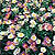 Santa Barbara Daisy Seeds