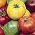 Heirloom Tomato Seeds