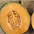 Melon Seeds
