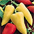 Sweet Pepper Seeds