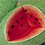 Watermelon Seeds