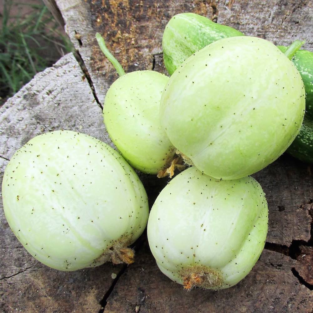 Lemon cucumbers