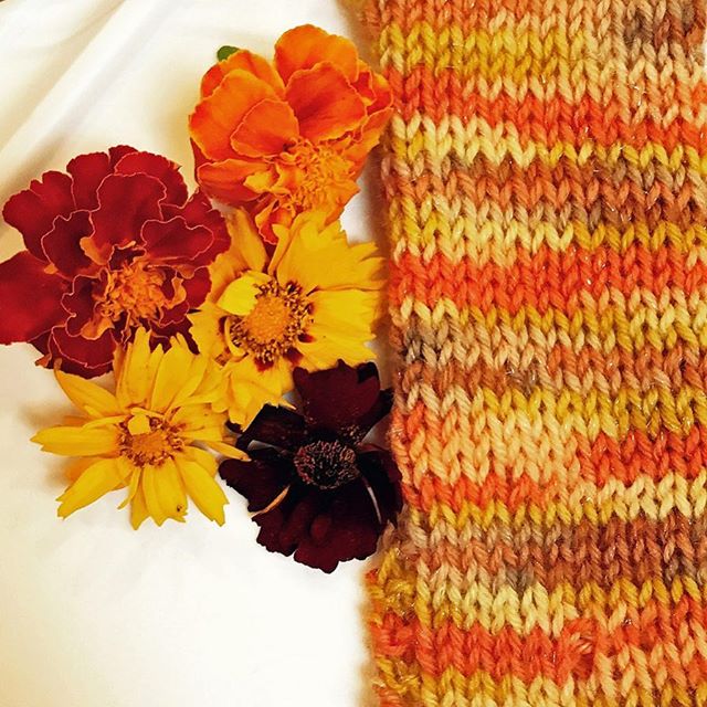 Coreopsis and dyed yarn