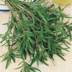 Summer Savory