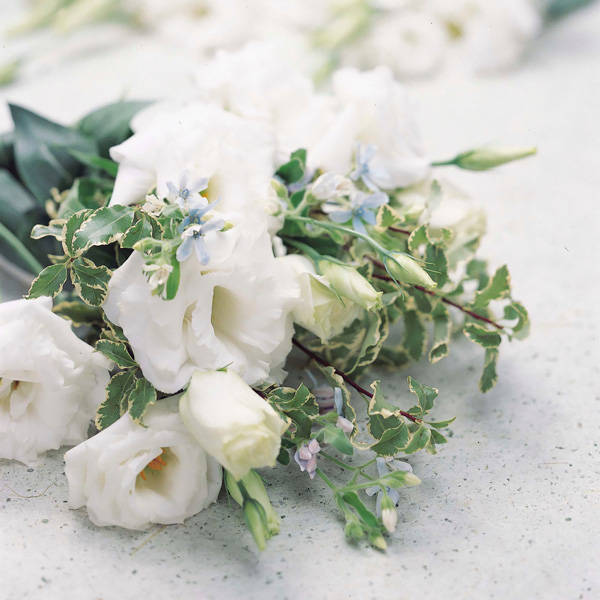 Echo White lisianthus seeds