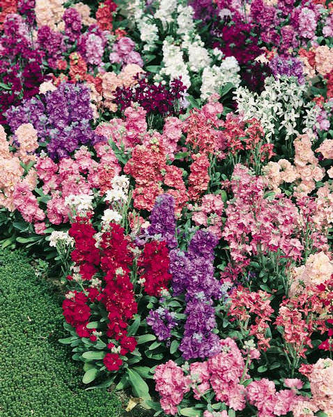 Vintage Mix stock Stock Vintage Mix