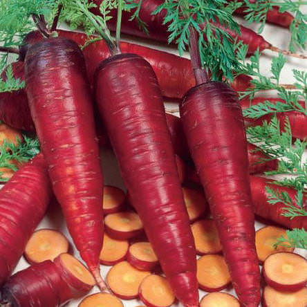 Purple Haze Carrots