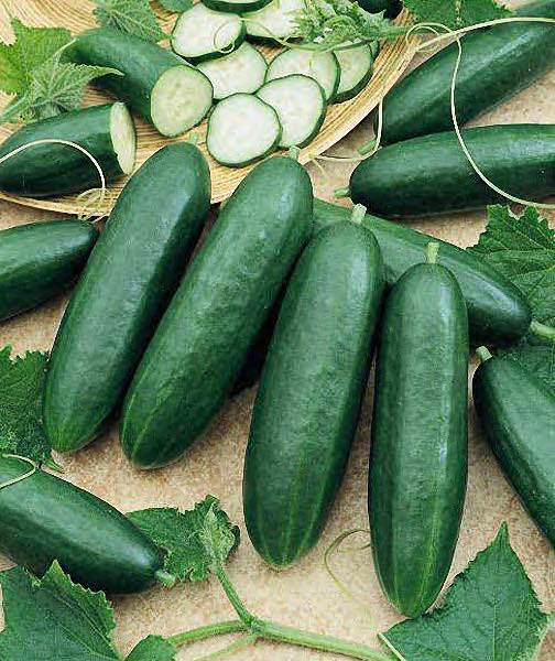 Cucumbers