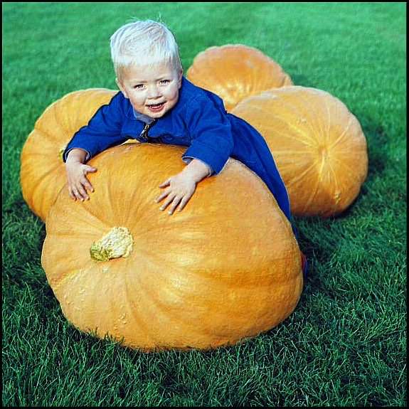 Large pumpkin with toddler