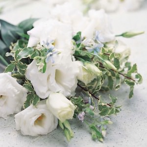 lisianthus cut flower