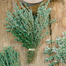 Thyme