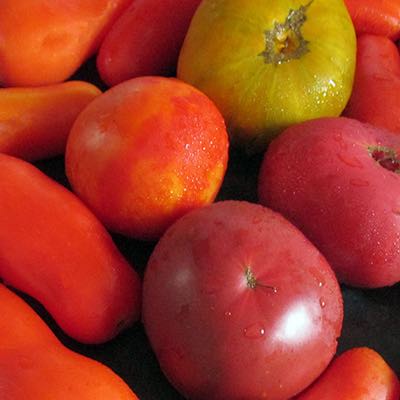 Tomato, Disease Prevention