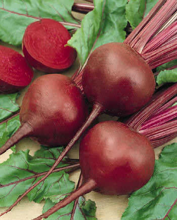 Red Ace Beet seeds