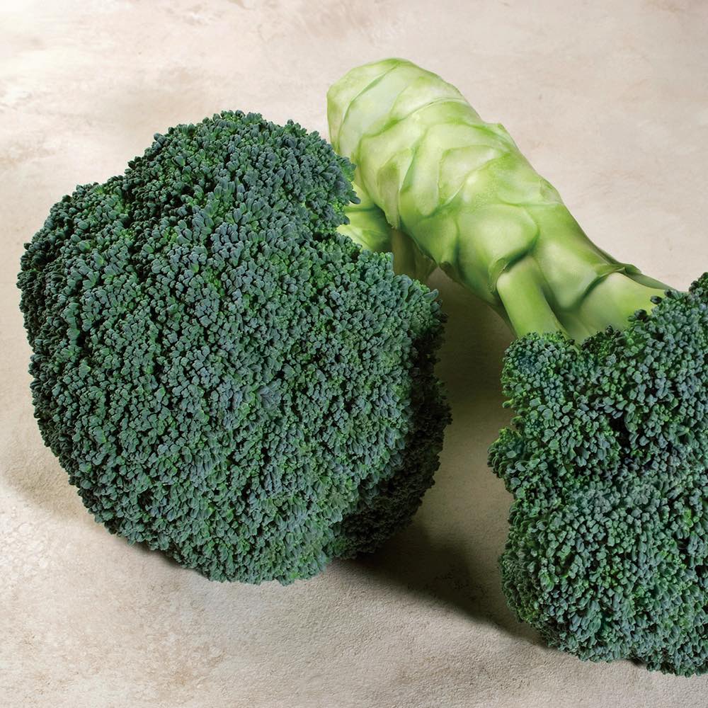 Broccoli Emerald Crown heads