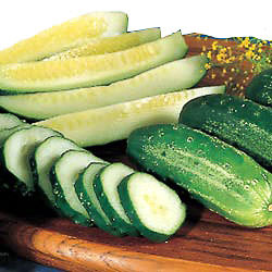 Cucumber Homemade Pickles - organic seeds