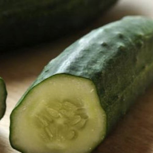 Patio Snacker cucumber Cucumber Patio Snacker