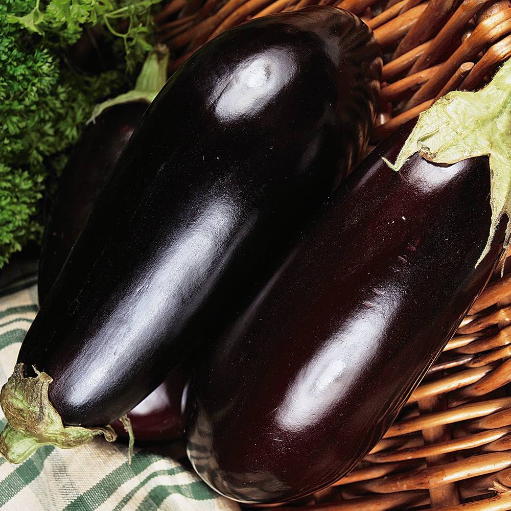 Black Enorma Eggplant Seeds Vegetable Garden Seeds
