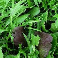 Greens