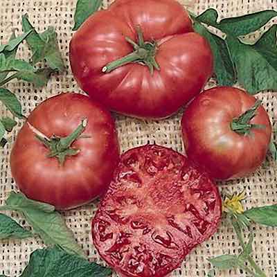 Heirloom Tomato