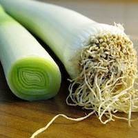 Leek