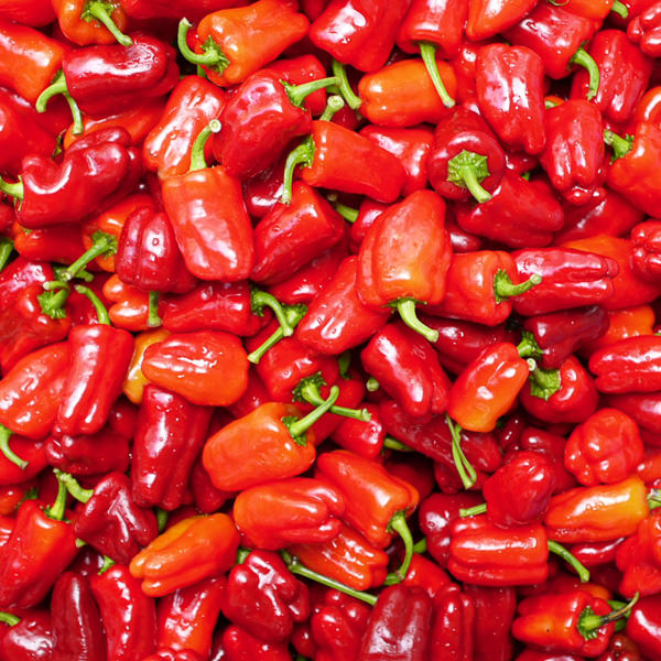 Cajun Belle bell peppers Bell peppers Cajun Belle