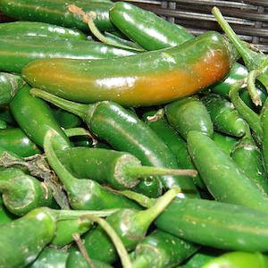 20 Large Hot Jalapeño Pepper Seeds – Fresh Garden Vegetable – New Crop