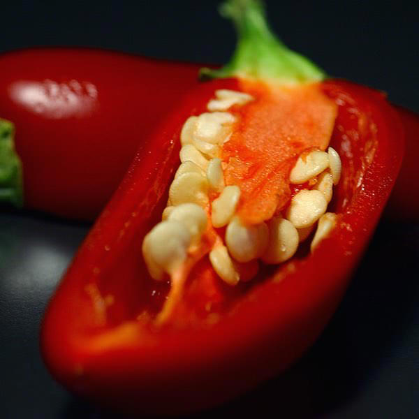 Pepper Jalapeno Gigantia - hot peppers