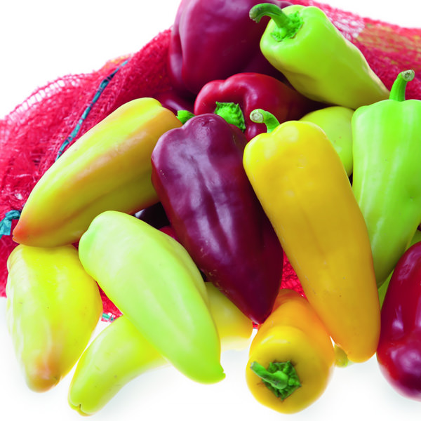 Pretty N Sweet pepper Pretty N Sweet pepper colors