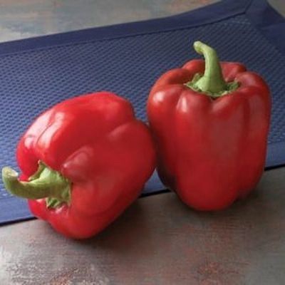 Red Bull bell pepper Bell Pepper Red Bull