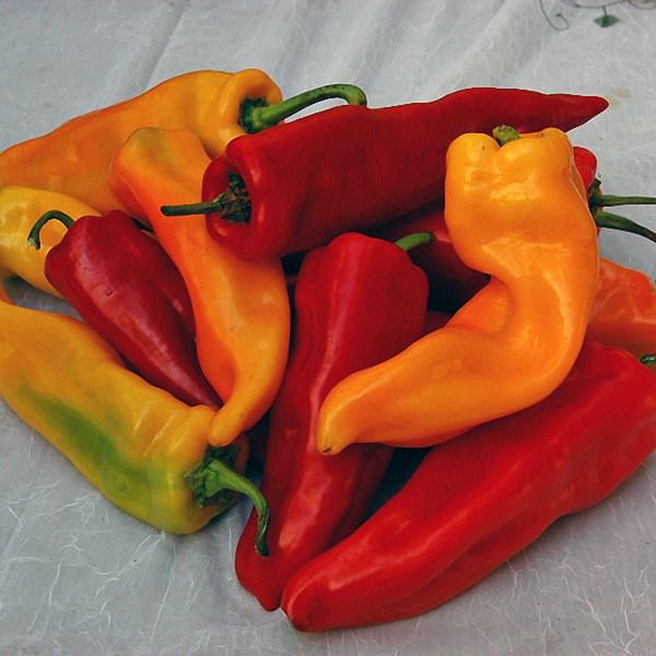 Sweet Sunset Italian pepper Sweet Sunset Italian Mix