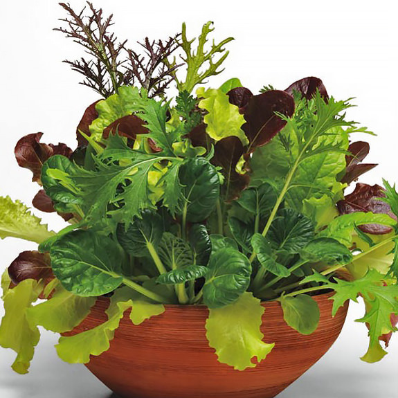 Simply Salad Global Gourmet Mix Simply Salad Global Gourmet Mix