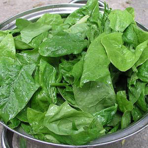 Space Hybrid spinach Spinach Space Hybrid