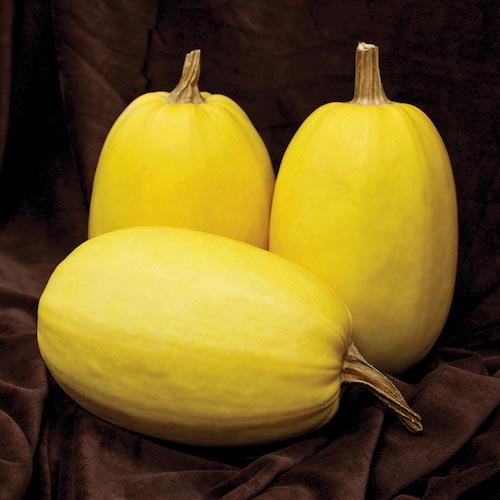 Squash Primavera