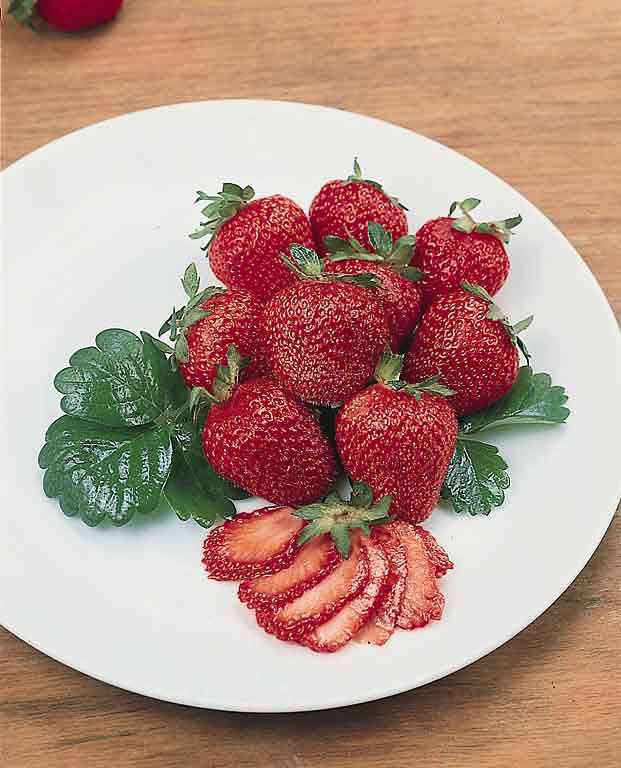 Fresca strawberry Strawberry Fresca