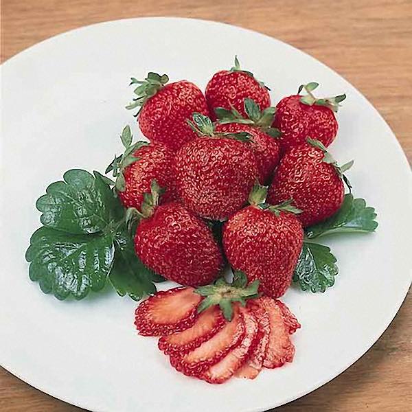 Strawberry Fresca