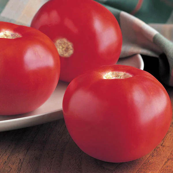 Homeslice Tomato