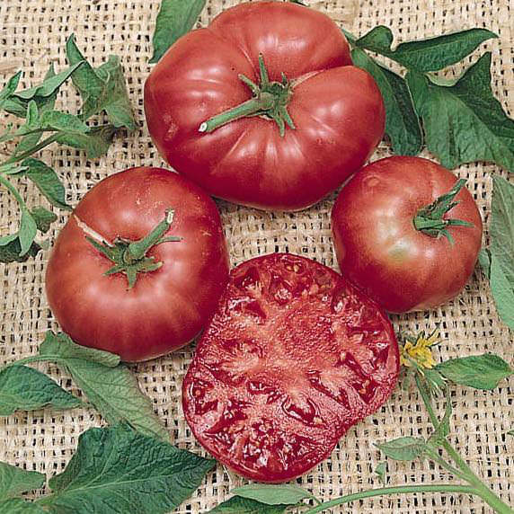 Brandywine Pink Heirloom Tomato Seeds - Vegetable Garden Seeds