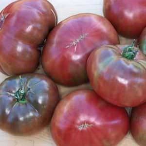 Tomato Carbon - heirloom tomatoes