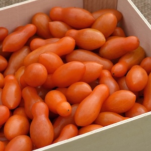Cherry Tomato