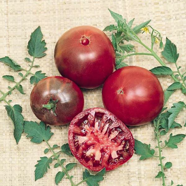 Black Krim heirloom tomato seeds