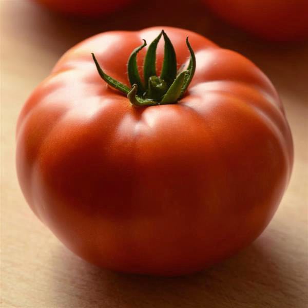 Homeslice Tomato