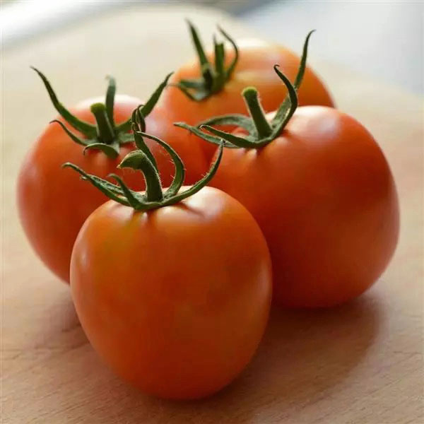 Tomato Heirloom Marriage Perfect Flame Tomato Heirloom Marriage Perfect Flame