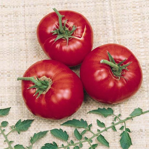 Tomato Mule Team - heirloom tomatoes