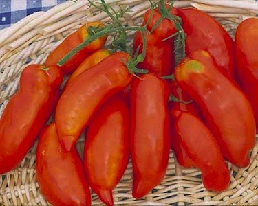 Super Italian Paste tomato Tomato Super Italian Paste